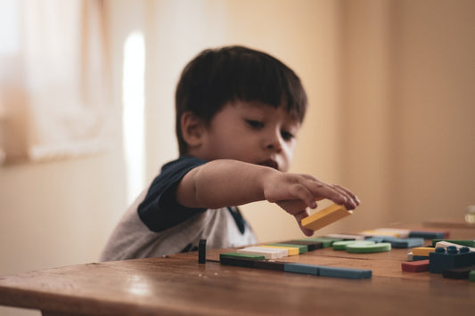 a little boy playing with little bricks